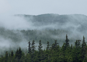 fort du Klondike