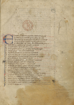 le dbut du manuscrit