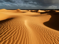 Sahara
