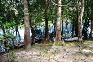 sur le Rio Negro