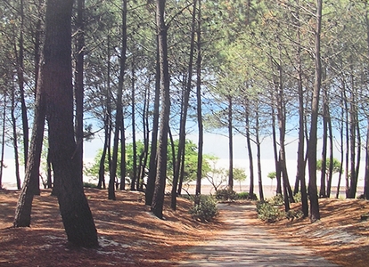 Arcachon